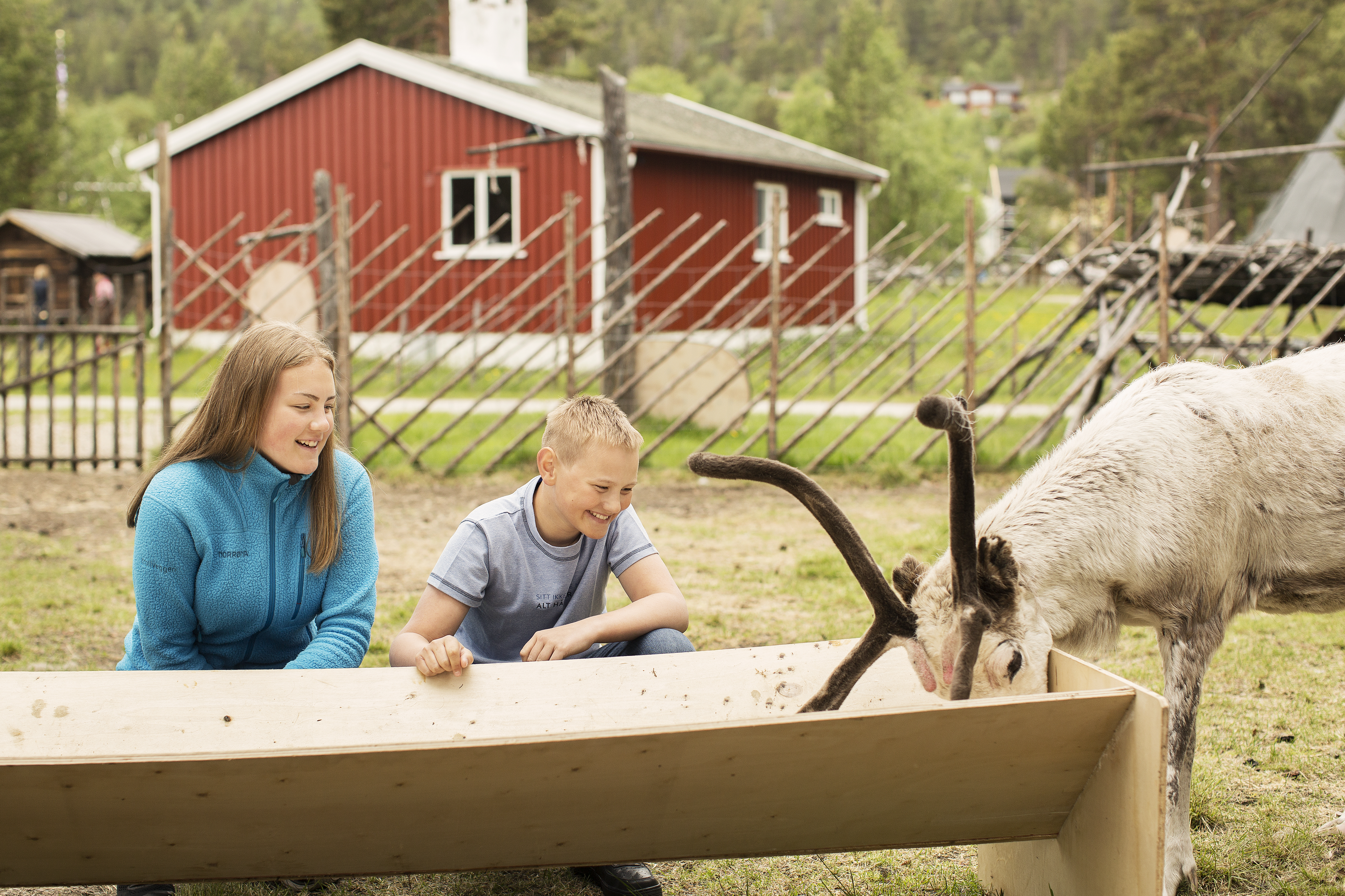 3-	Maanah båatsoen bïjre lierieh. Foto: Maria Louise Somby- www.nordnorge.com