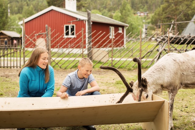Mánát ohppet boazodoalu birra. Govven: Maria Louise Somby- www.nordnorge.com